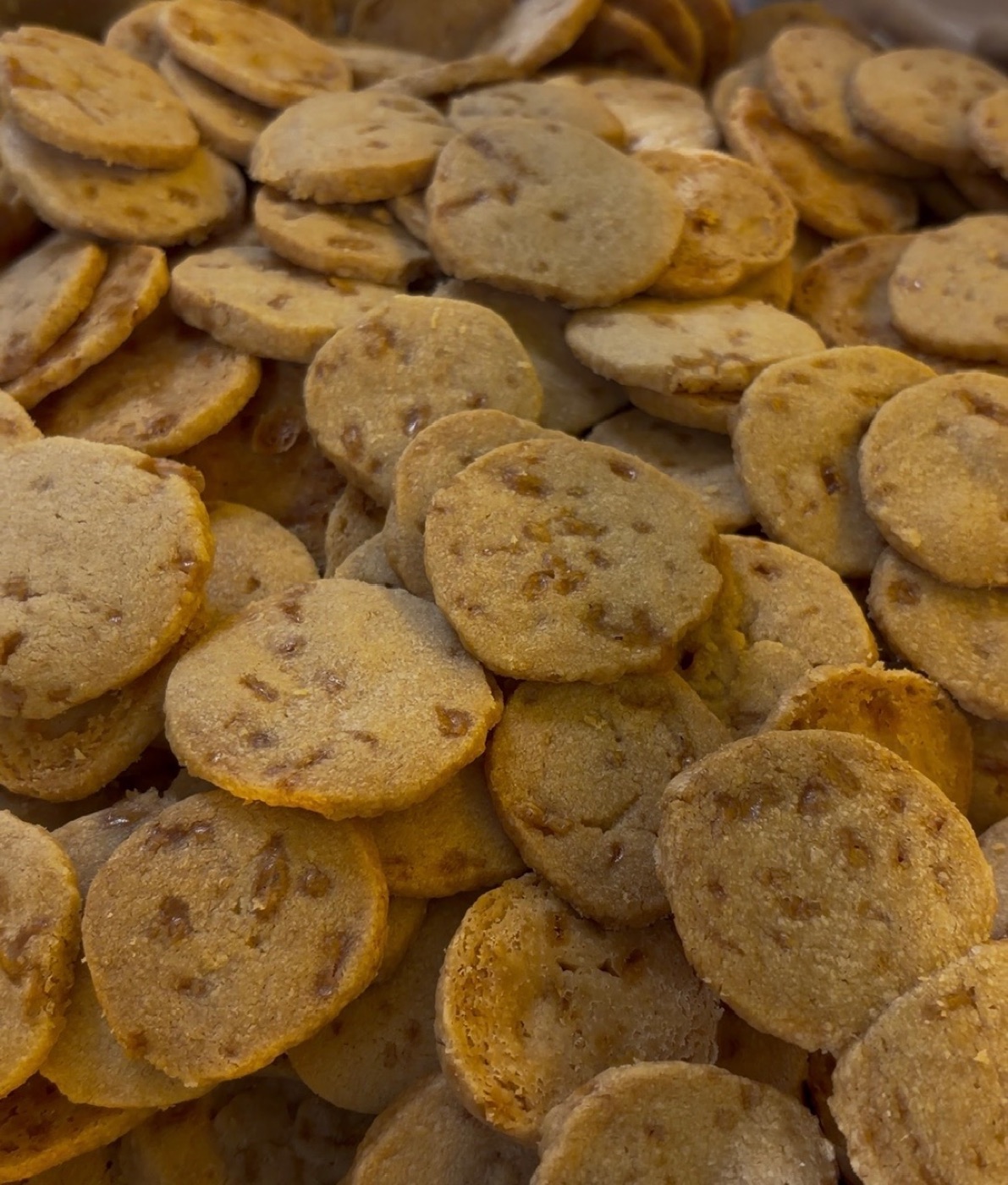 Ambachtelijke Haagse Hofjes koekjes
